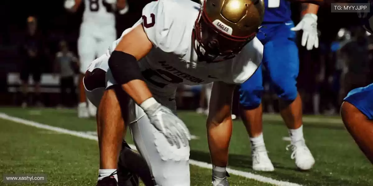 🎯 装备你的热爱,从这里开始!